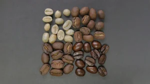 دانه انواع قهوه